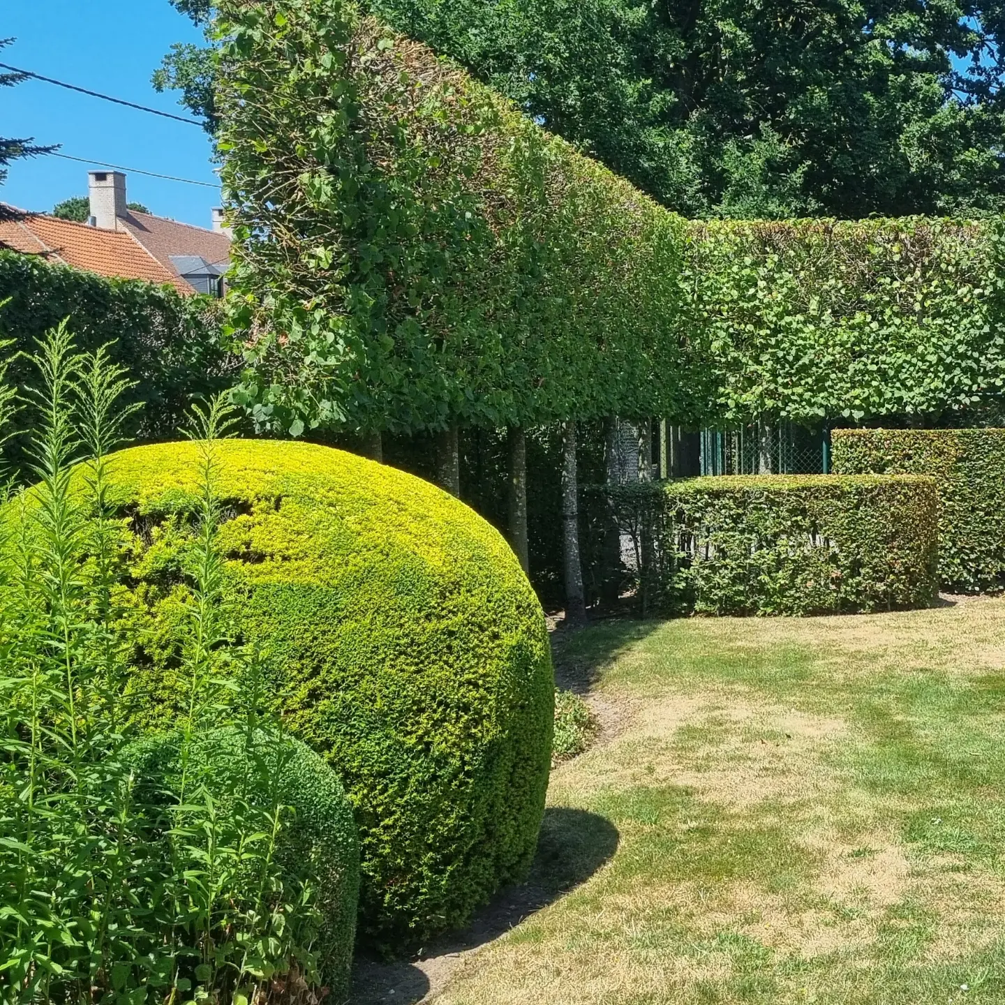 Foto van een recent project